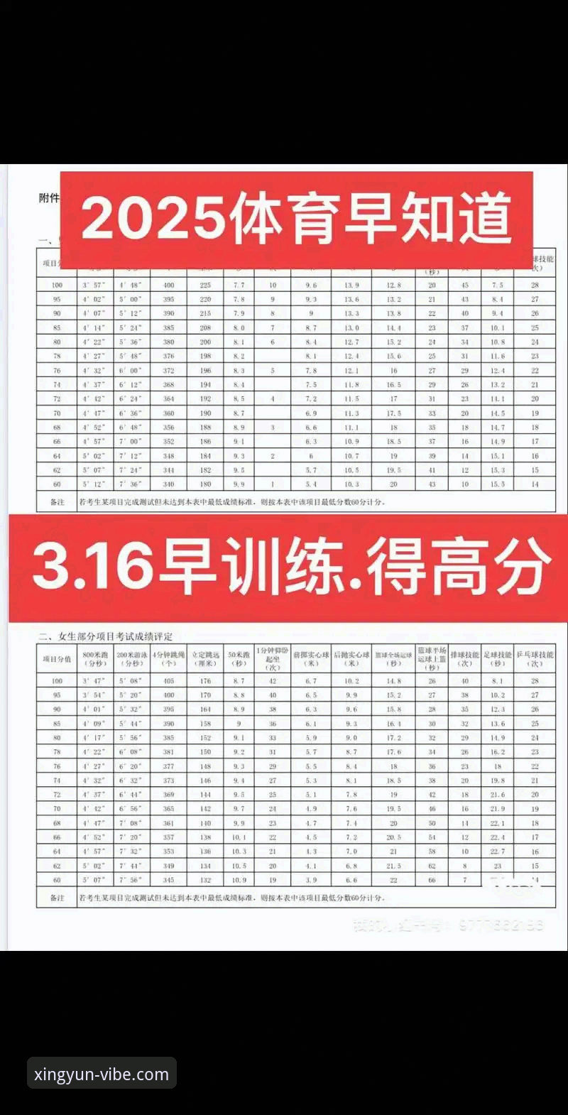 2025年最新测评：杏运体育安卓版哪个好？专业分析师带你一探究竟