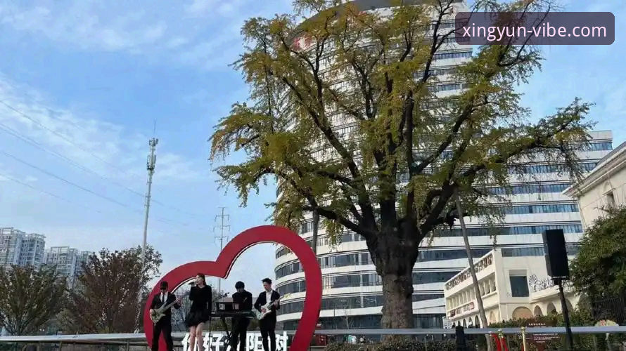 杏运体育安卓版下载安装实用指南：2025版本新手上手指南