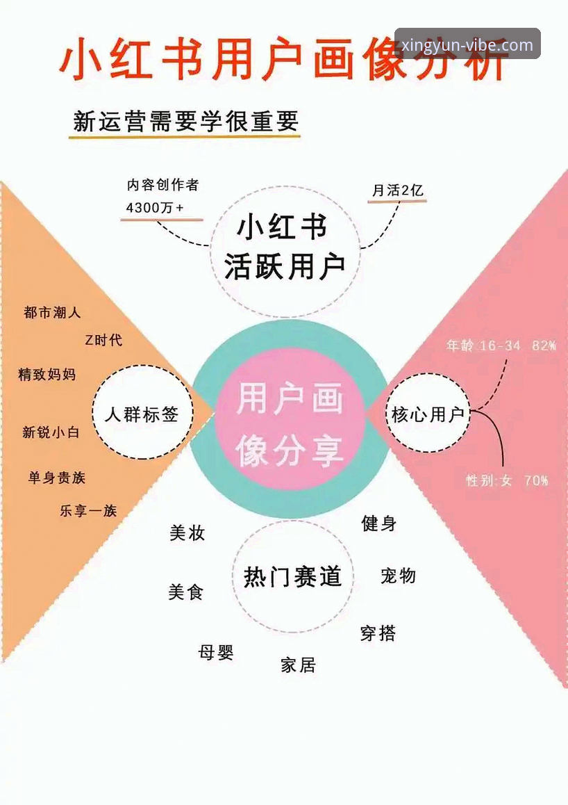 资深用户详解：杏运体育安卓安装官方下载完整流程与使用心得