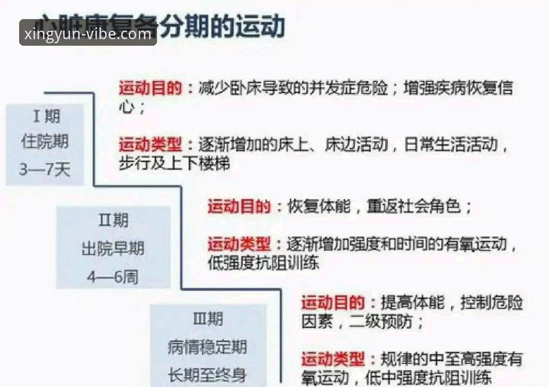杏运体育运动竞技怎么样 从5个维度深度剖析杏运体育运动竞技的真实体验与价值